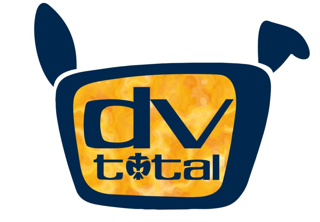 Logo zur Diözesanversammlung "DV Total"