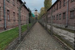 IMG_20211013_173842