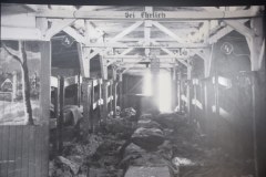 Lioba-Vienenkoetter_Gedenkstaettenfahrt-91