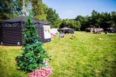 Rovercamp2015-S.Humbek-151-IM6A9476