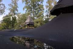 timo_9105