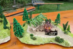 bjoern_20230819_152219320